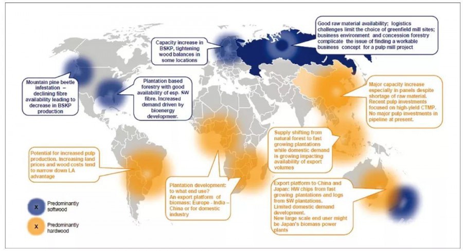 中国木浆市场前景展望