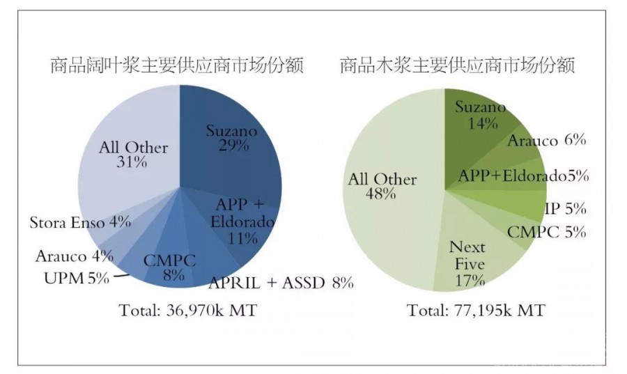 中国木浆市场前景展望